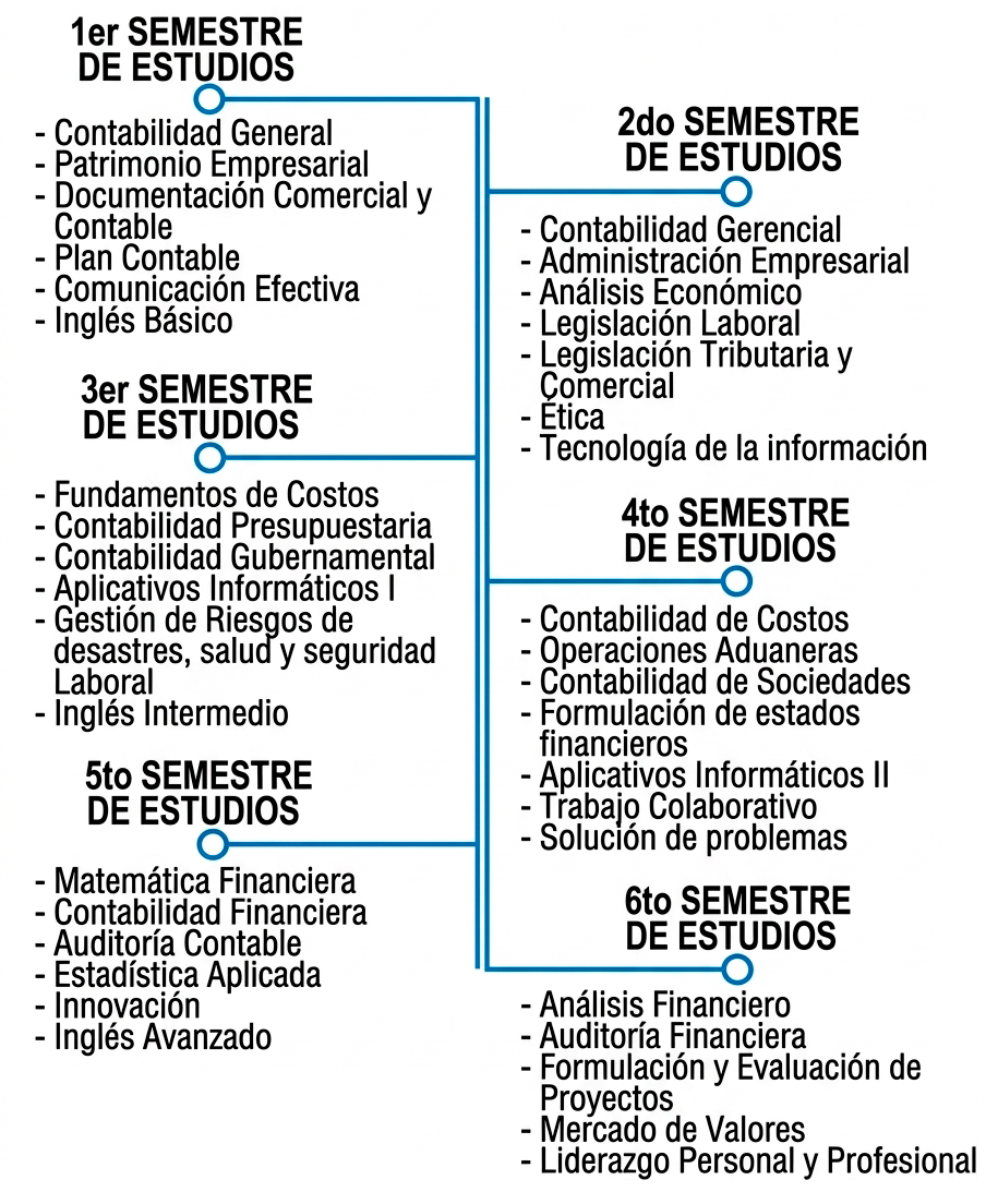 Descripción de la imagen