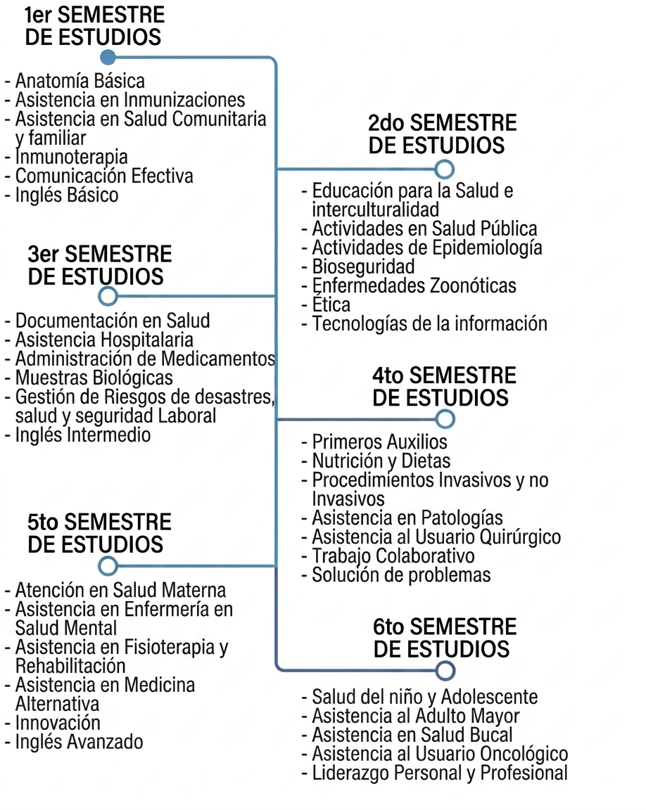 Descripción de la imagen